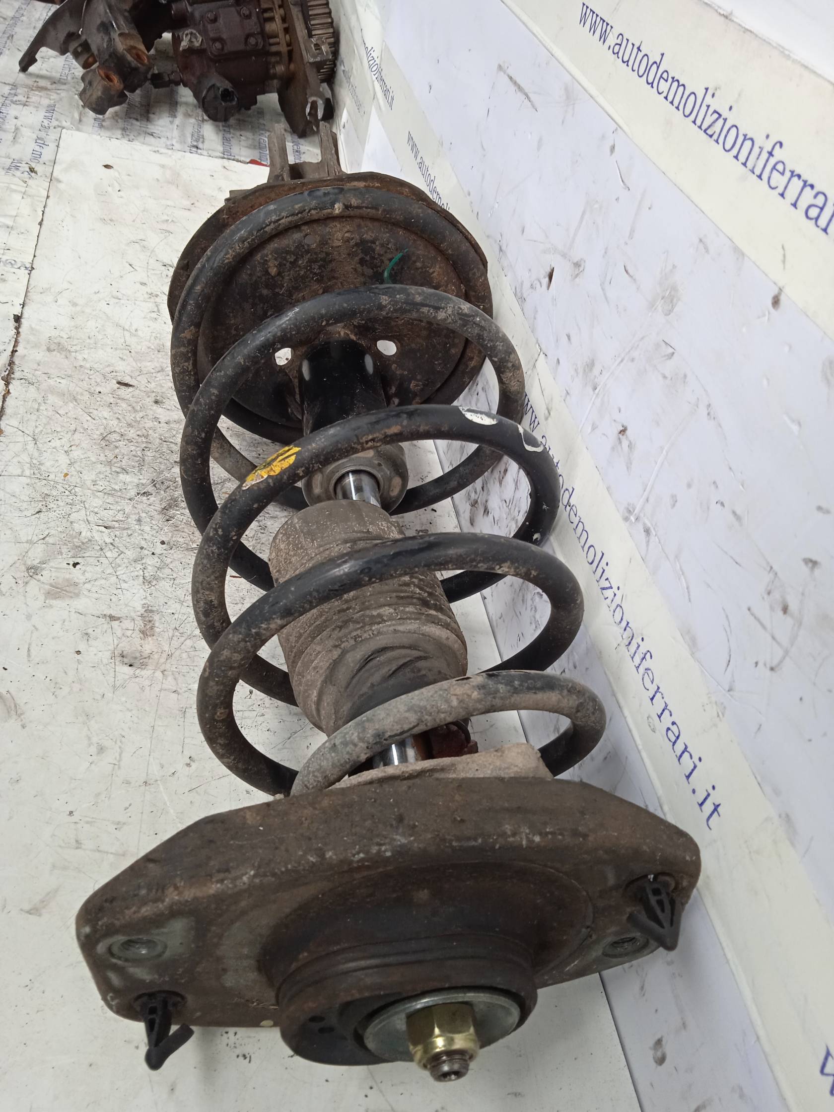 Ammortizzatore ant. sx.